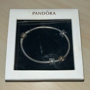 Pandora Charm Bracelet